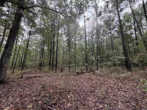 000 Smith Rd, Woodlawn, AR 71665 photo 2