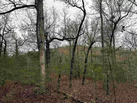 001-00447 000 Mc 6037, Yellville, AR 72687