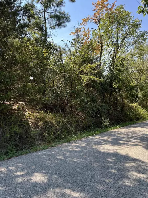 tbd Polk 61, Mena, AR 71953 photo 2