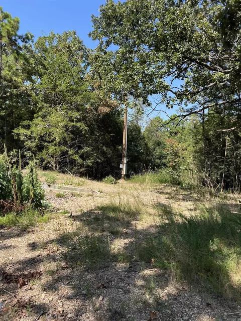 tbd Polk 61, Mena, AR 71953 photo 24