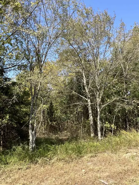 tbd Polk 61, Mena, AR 71953 photo 16
