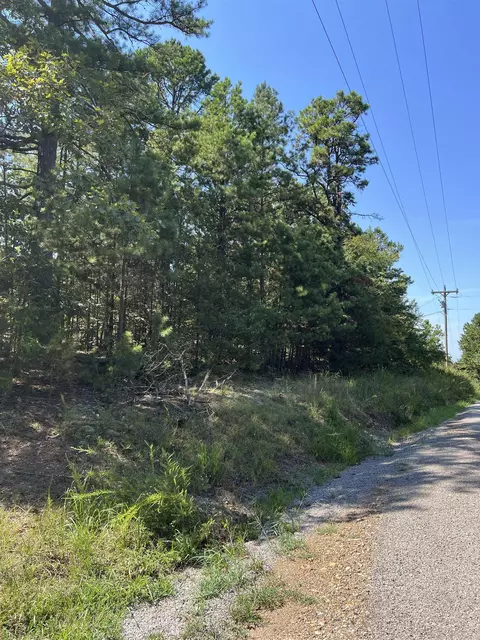 tbd Polk 61, Mena, AR 71953 photo 26
