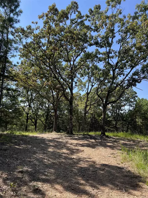 tbd Polk 61, Mena, AR 71953 photo 25