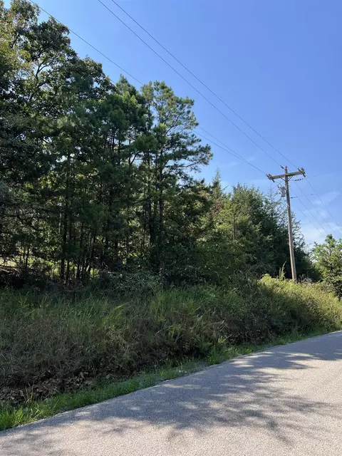 tbd Polk 61, Mena, AR 71953 photo 3