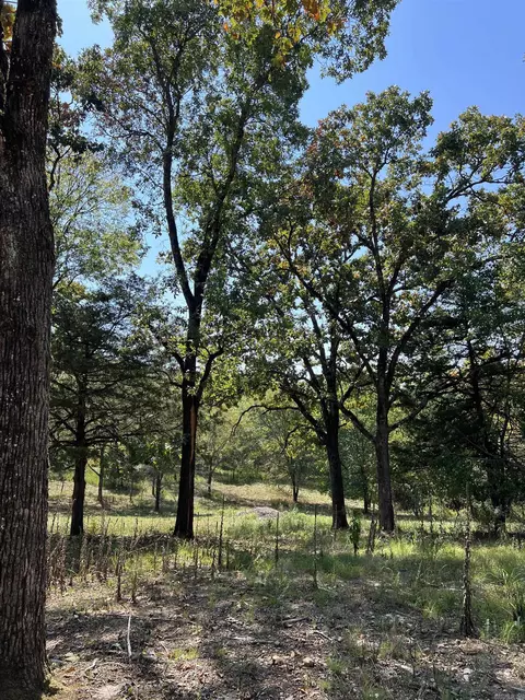 tbd Polk 61, Mena, AR 71953 photo 22
