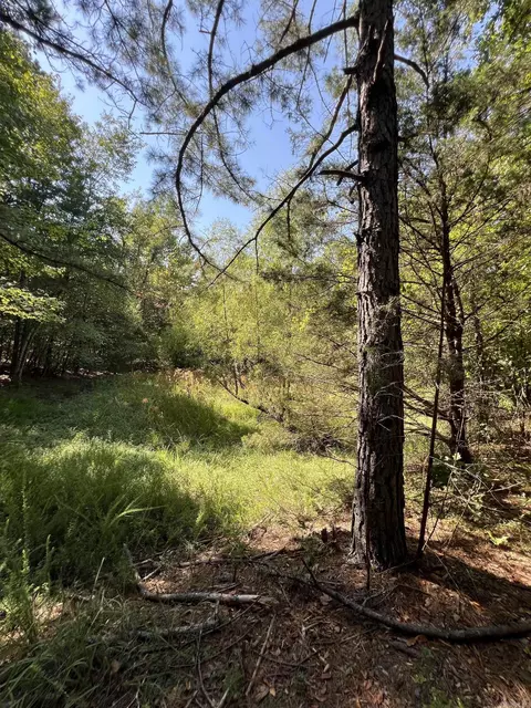 tbd Polk 61, Mena, AR 71953 photo 10