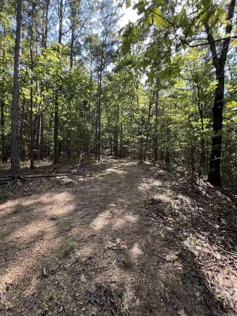 tbd Polk 61, Mena, AR 71953 photo 6