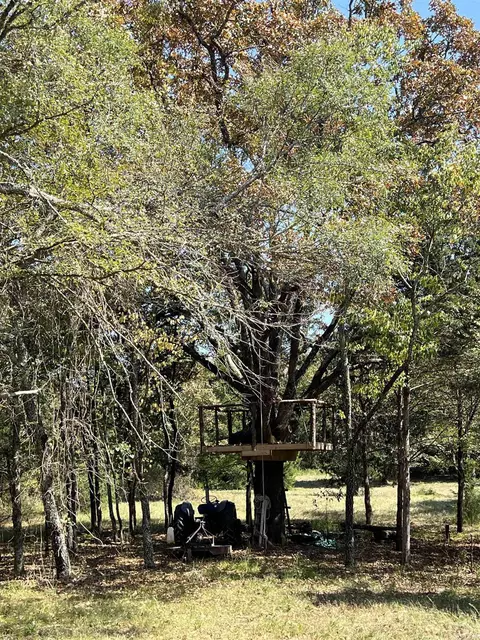 tbd Polk 61, Mena, AR 71953 photo 15