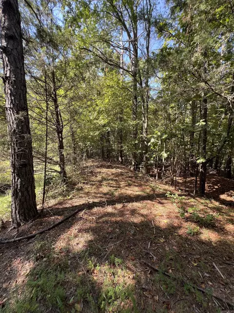 tbd Polk 61, Mena, AR 71953 photo 9
