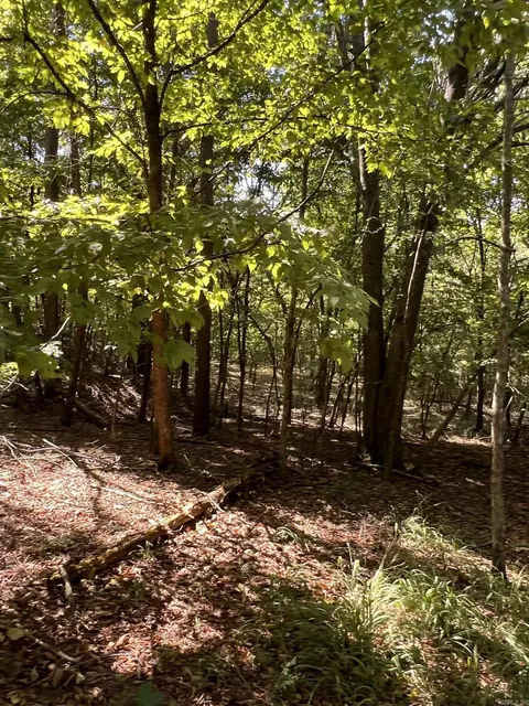 tbd Polk 61, Mena, AR 71953 photo 11