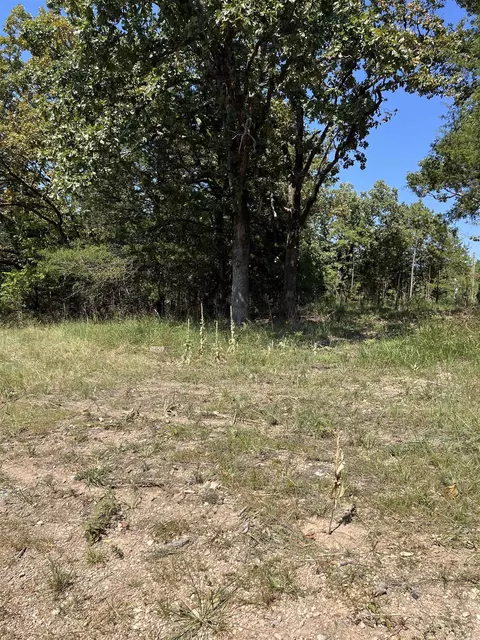 tbd Polk 61, Mena, AR 71953 photo 17