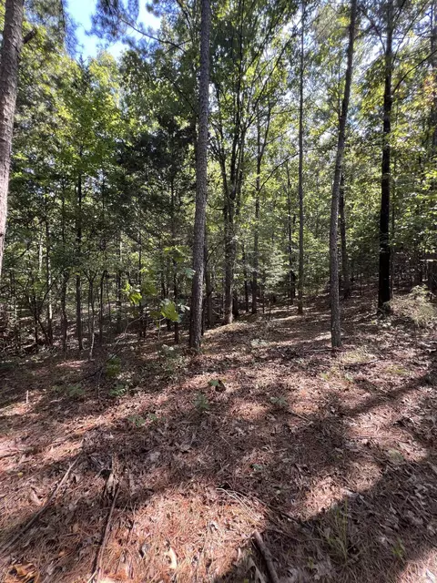 tbd Polk 61, Mena, AR 71953 photo 5