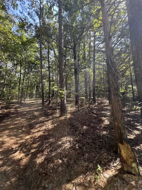 tbd Polk 61, Mena, AR 71953 photo 7