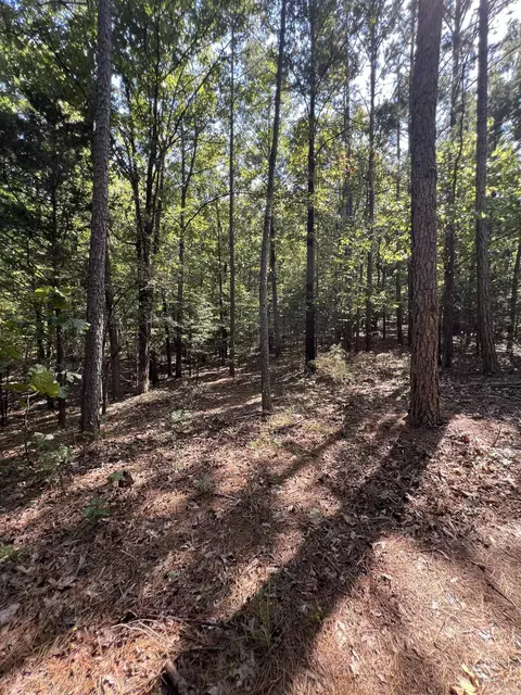 tbd Polk 61, Mena, AR 71953 photo 4