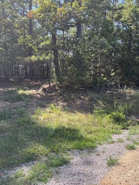 tbd Polk 61, Mena, AR 71953 photo 27