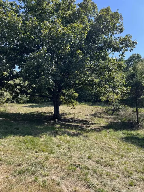 tbd Polk 61, Mena, AR 71953 photo 19