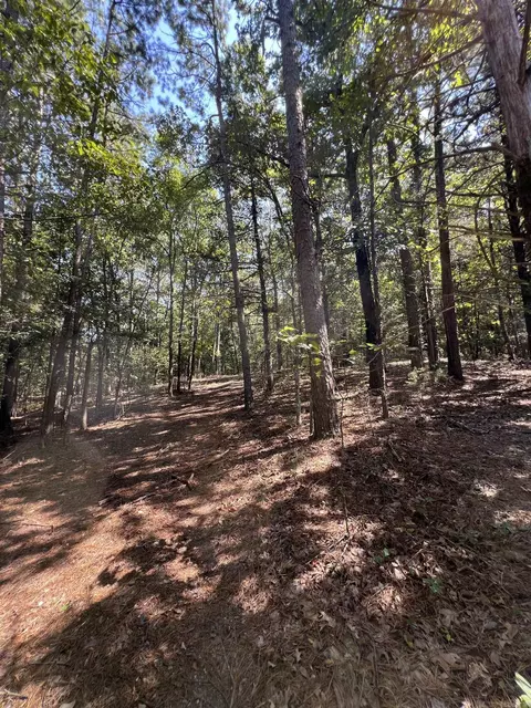 tbd Polk 61, Mena, AR 71953 photo 8