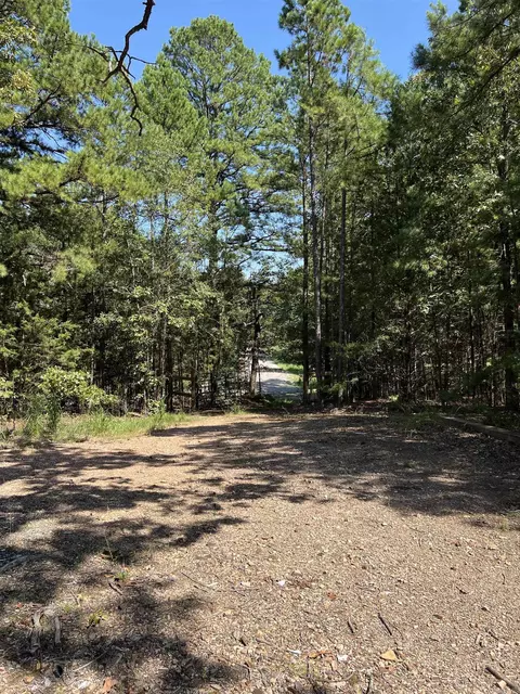 tbd Polk 61, Mena, AR 71953 photo 21