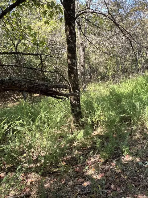 tbd Polk 61, Mena, AR 71953 photo 12