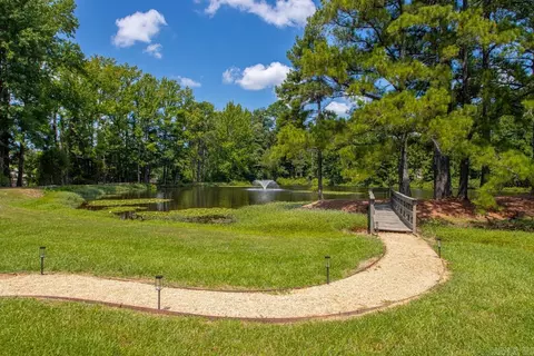 View/Area - 4040 Vineyard Way, Alexander, AR 72002 photo 4 of 5