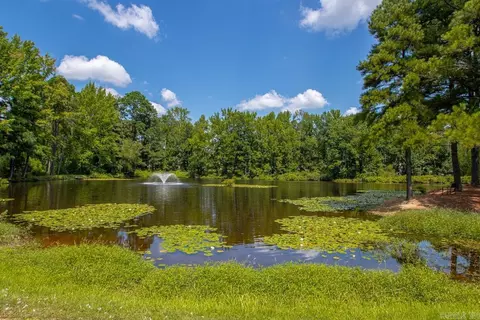 View/Area - 4040 Vineyard Way, Alexander, AR 72002 photo 5 of 5
