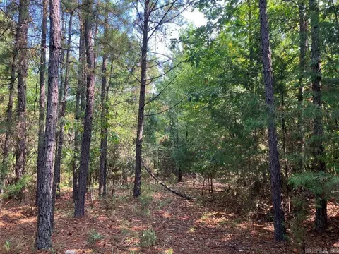 tbd Tract 1 Thompson Creek Lane Ln, Mena, AR 71953 photo 19