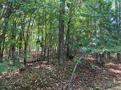tbd Tract 1 Thompson Creek Lane Ln, Mena, AR 71953 photo 27