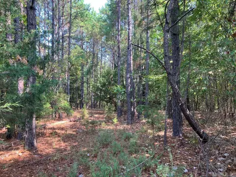 tbd Tract 1 Thompson Creek Lane Ln, Mena, AR 71953 photo 22
