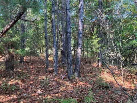 tbd Tract 1 Thompson Creek Lane Ln, Mena, AR 71953 photo 26