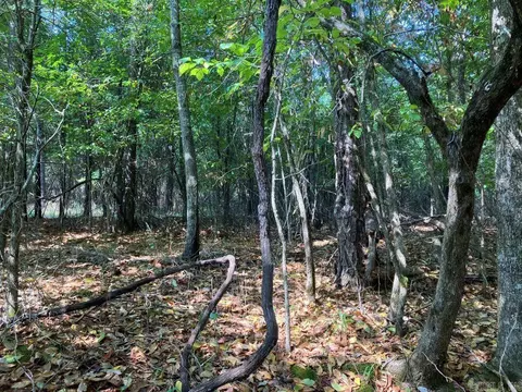 tbd Tract 1 Thompson Creek Lane Ln, Mena, AR 71953 photo 29