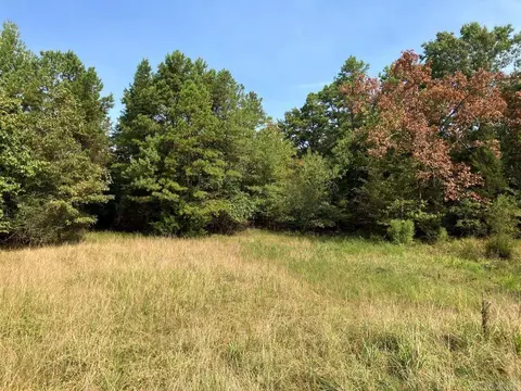 tbd Tract 1 Thompson Creek Lane Ln, Mena, AR 71953 photo 2