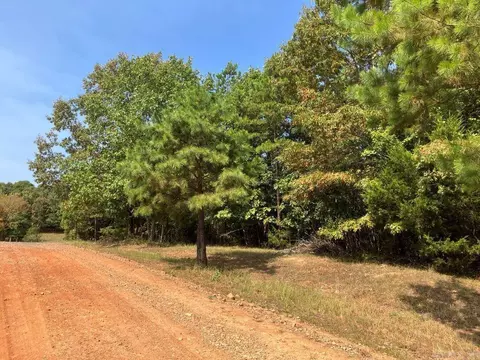 tbd Tract 1 Thompson Creek Lane Ln, Mena, AR 71953 photo 28
