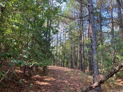 tbd Tract 1 Thompson Creek Lane Ln, Mena, AR 71953 photo 3