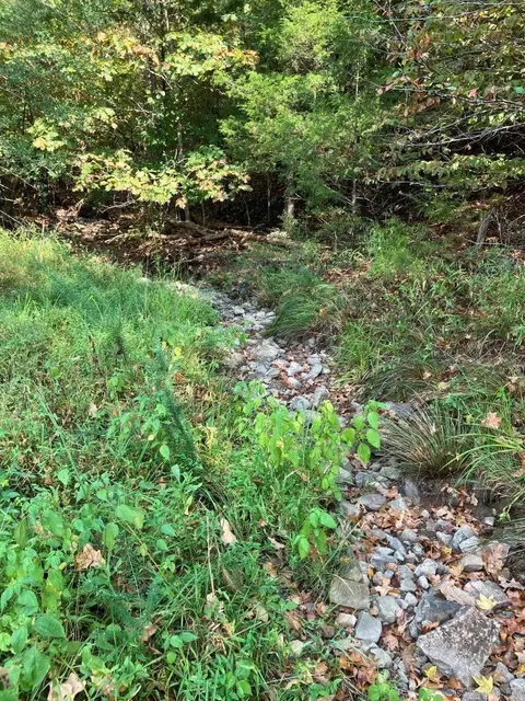 tbd Tract 1 Thompson Creek Lane Ln, Mena, AR 71953 photo 7