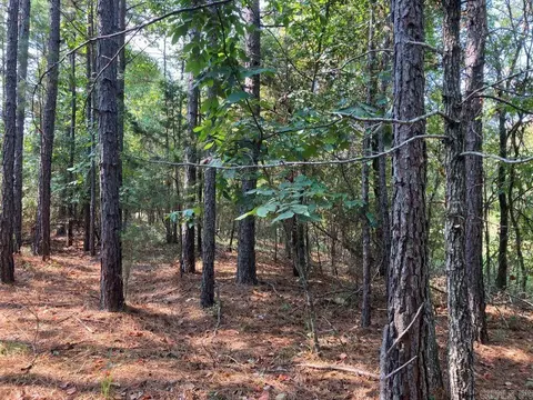 tbd Tract 1 Thompson Creek Lane Ln, Mena, AR 71953 photo 21