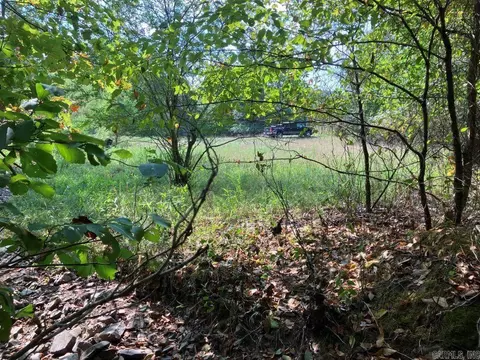 tbd Tract 1 Thompson Creek Lane Ln, Mena, AR 71953 photo 37