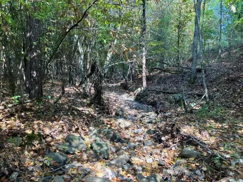 tbd Tract 1 Thompson Creek Lane Ln, Mena, AR 71953 photo 6