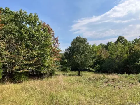 tbd Tract 1 Thompson Creek Lane Ln, Mena, AR 71953 photo 17