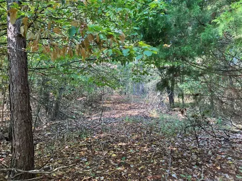 tbd Tract 1 Thompson Creek Lane Ln, Mena, AR 71953 photo 23