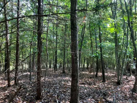 tbd Tract 1 Thompson Creek Lane Ln, Mena, AR 71953 photo 33