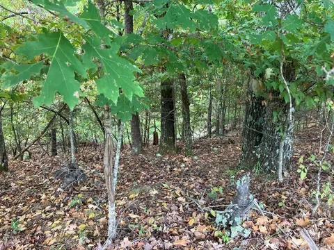 tbd Tract 1 Thompson Creek Lane Ln, Mena, AR 71953 photo 11