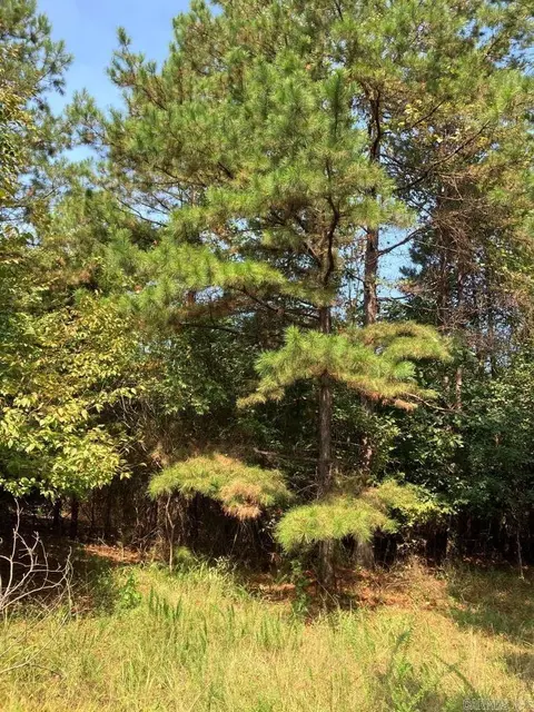 tbd Tract 1 Thompson Creek Lane Ln, Mena, AR 71953 photo 32