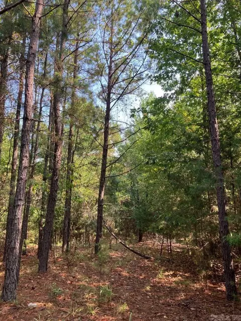 tbd Tract 1 Thompson Creek Lane Ln, Mena, AR 71953 photo 20