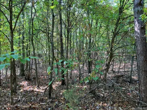 tbd Tract 1 Thompson Creek Lane Ln, Mena, AR 71953 photo 30