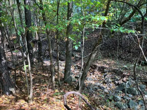 tbd Tract 1 Thompson Creek Lane Ln, Mena, AR 71953 photo 4