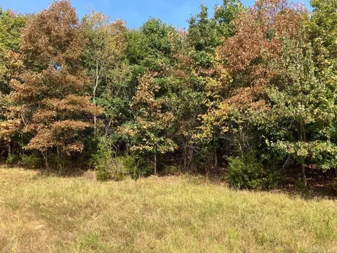 tbd Tract 1 Thompson Creek Lane Ln, Mena, AR 71953 photo 31
