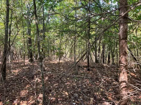 tbd Tract 1 Thompson Creek Lane Ln, Mena, AR 71953 photo 35