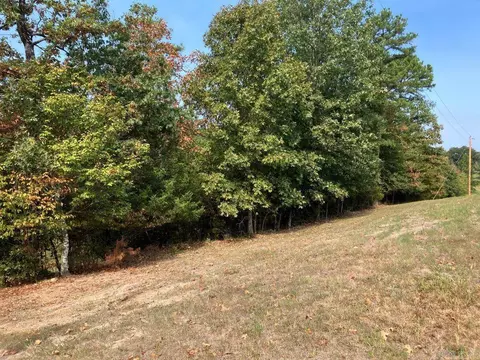 tbd Tract 1 Thompson Creek Lane Ln, Mena, AR 71953 photo 39