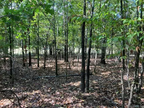 tbd Tract 1 Thompson Creek Lane Ln, Mena, AR 71953 photo 36