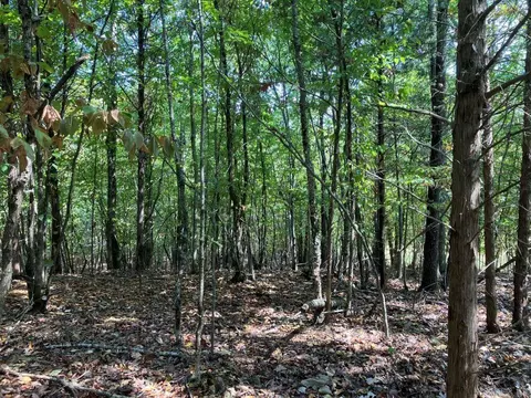 tbd Tract 1 Thompson Creek Lane Ln, Mena, AR 71953 photo 34